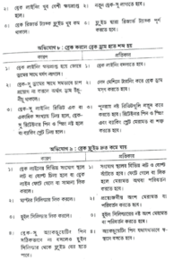 সঙ্গতিপূর্ণ ভাল্ভ | অটোমোবিল ইঞ্জিনিয়ারিং 5 সঙ্গতিপূর্ণ ভাল্ভ | অটোমোবিল ইঞ্জিনিয়ারিং