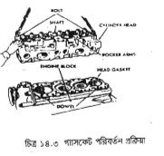 ইঞ্জিন গ্যাসকেট
