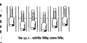 স্টোরেজ ব্যাটারি 3 স্টোরেজ ব্যাটারি
