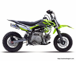 Thumpstar TSK 50cc Dirt Bike 001 মোটর বাইক এর এনাটমি